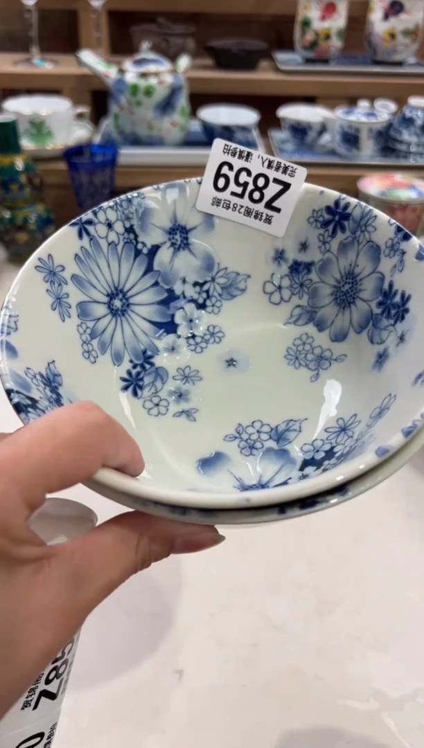 瓷片春****4      Z859