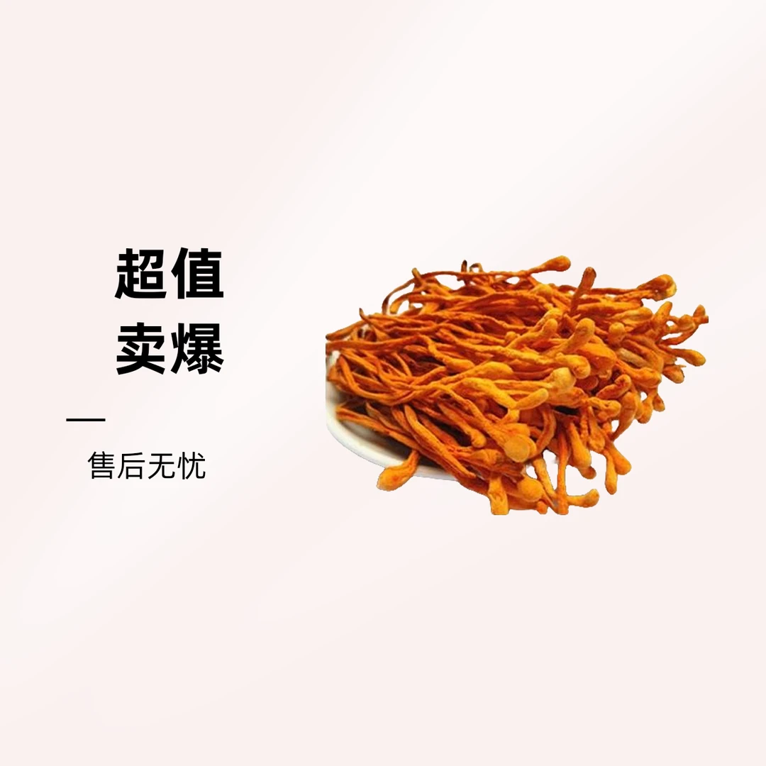 精品虫草菇500g±5g/袋虫草食用花新鲜