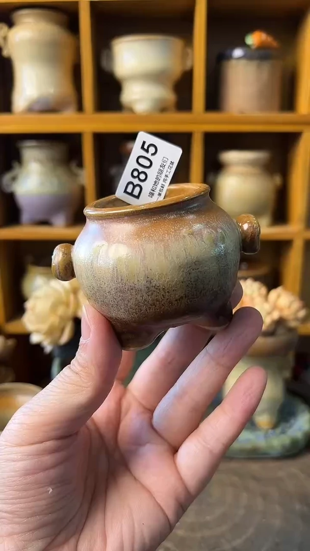 赤***紫805【多肉花盆多肉盆】