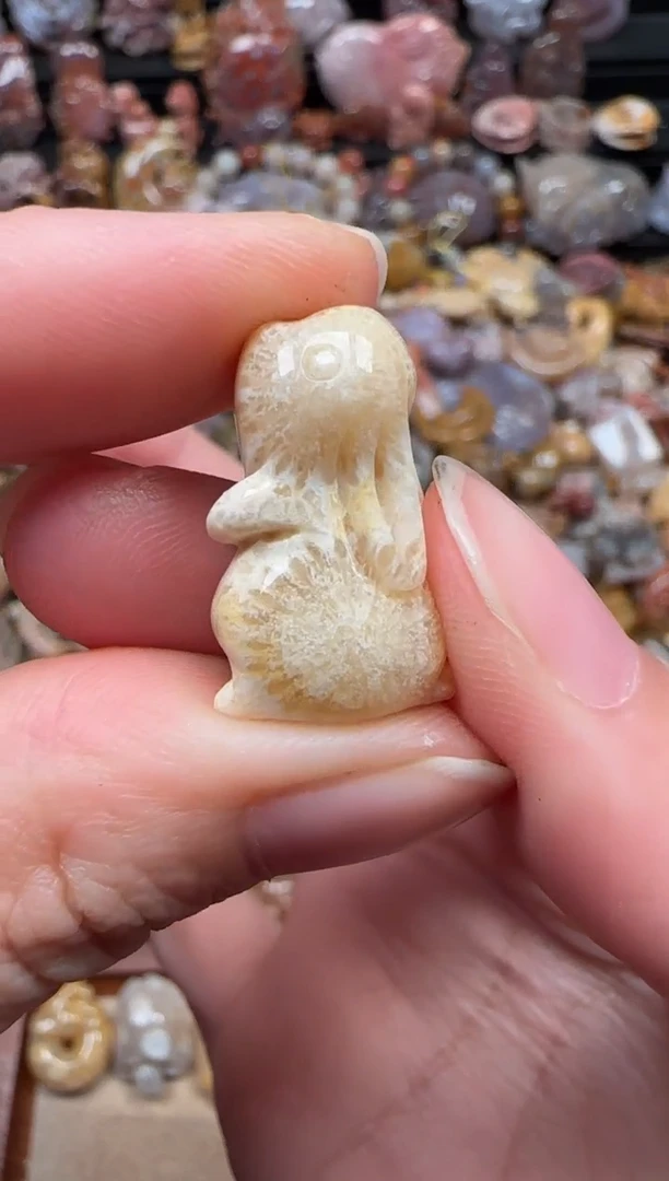 颈饰未镶嵌硅化珊瑚（珊瑚玉）372