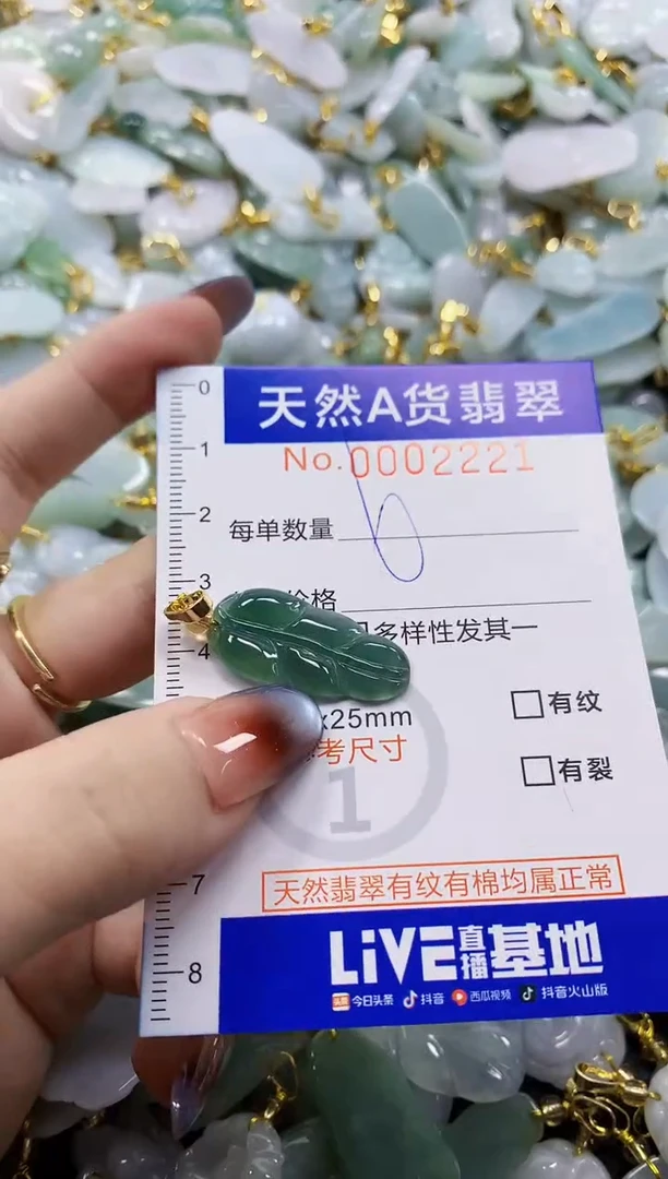 颈饰未镶嵌翡翠天然A货翡翠