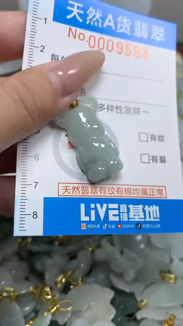 翡翠未镶嵌颈饰净货挂件-9594