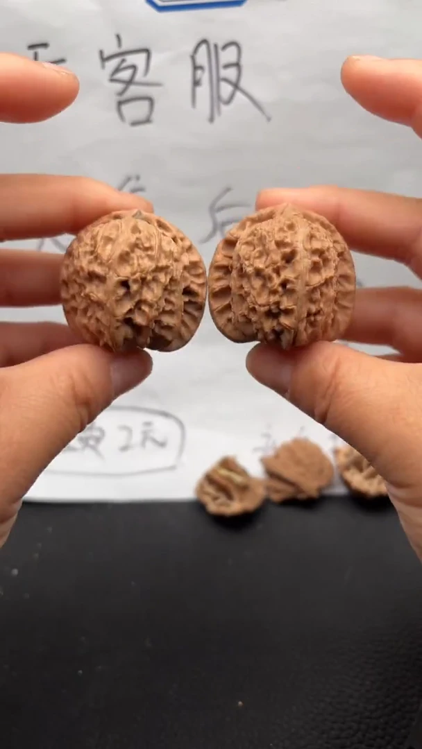 把件文玩核桃31白狮子