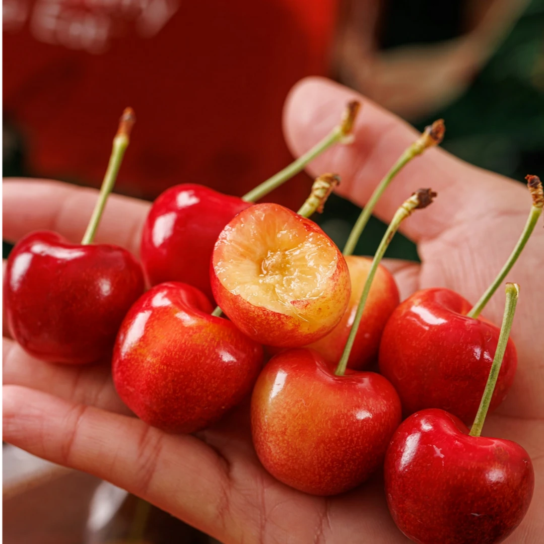 Skylar Rae智利进口空运天空之城金车2-3J车厘子 内附果径卡