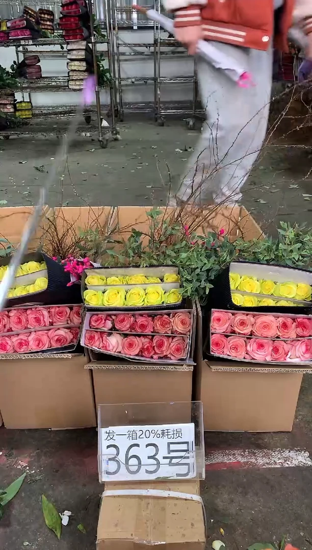 363号♥中通含20%耗损发一箱鲜花