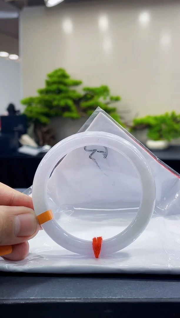 未镶嵌手镯翡翠4