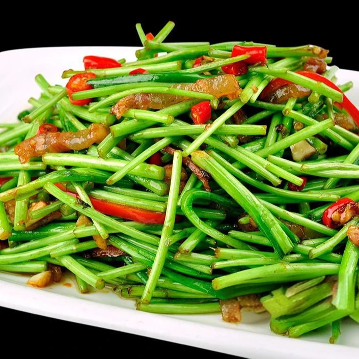 湖北本地汉江河畔野生蓠蒿