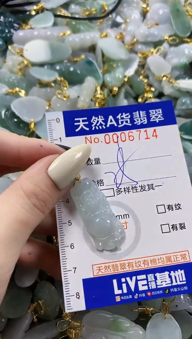 颈饰未镶嵌翡翠天然A货翡翠