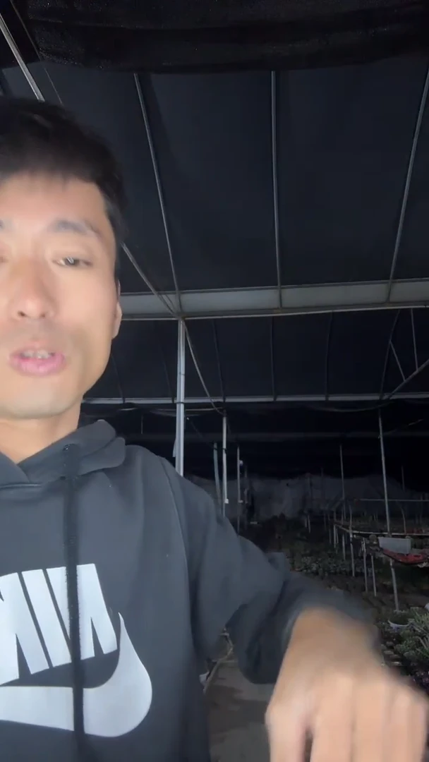 我****子狂刺守金魔天龙109.99