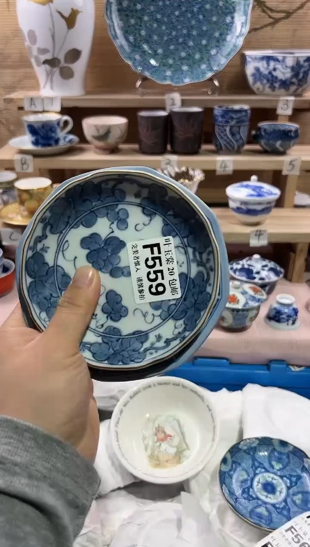 瓷片              F559
