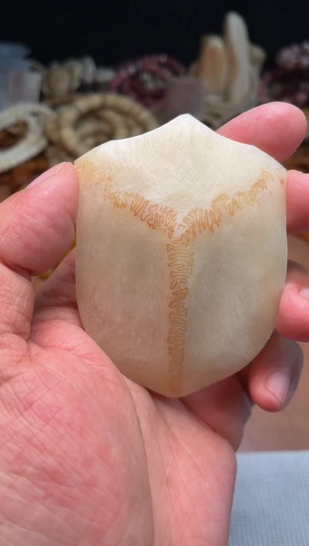 鹿骨其他三界A450-母鹿三界