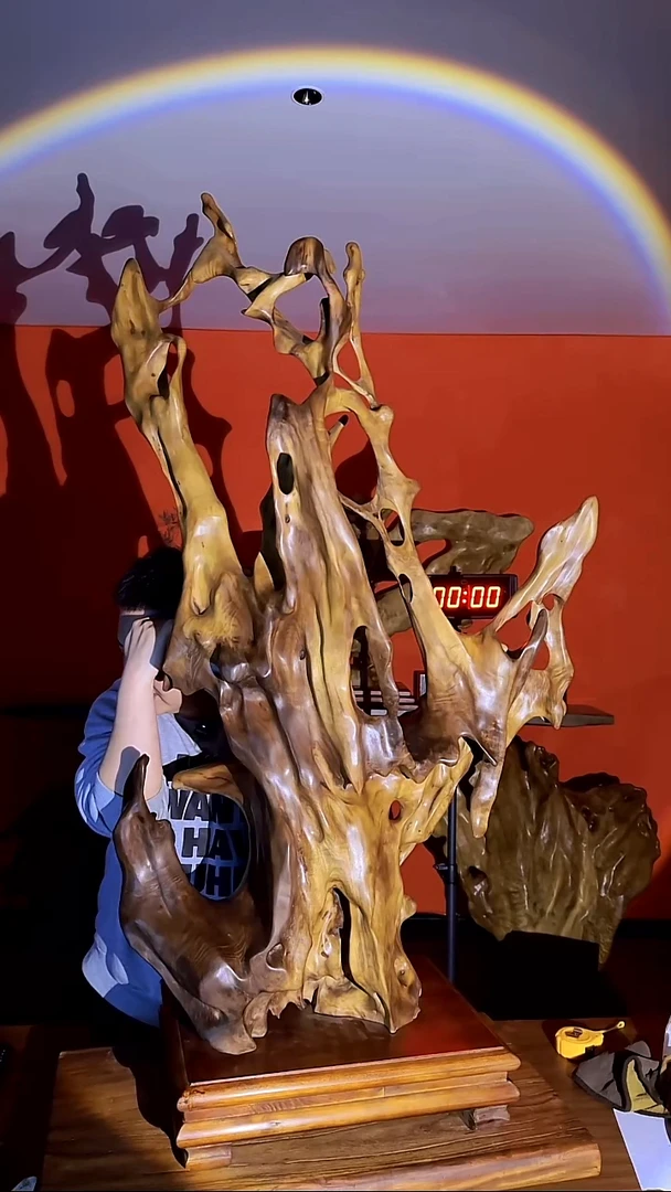 金丝楠慢*！小叶桢楠金丝楠木