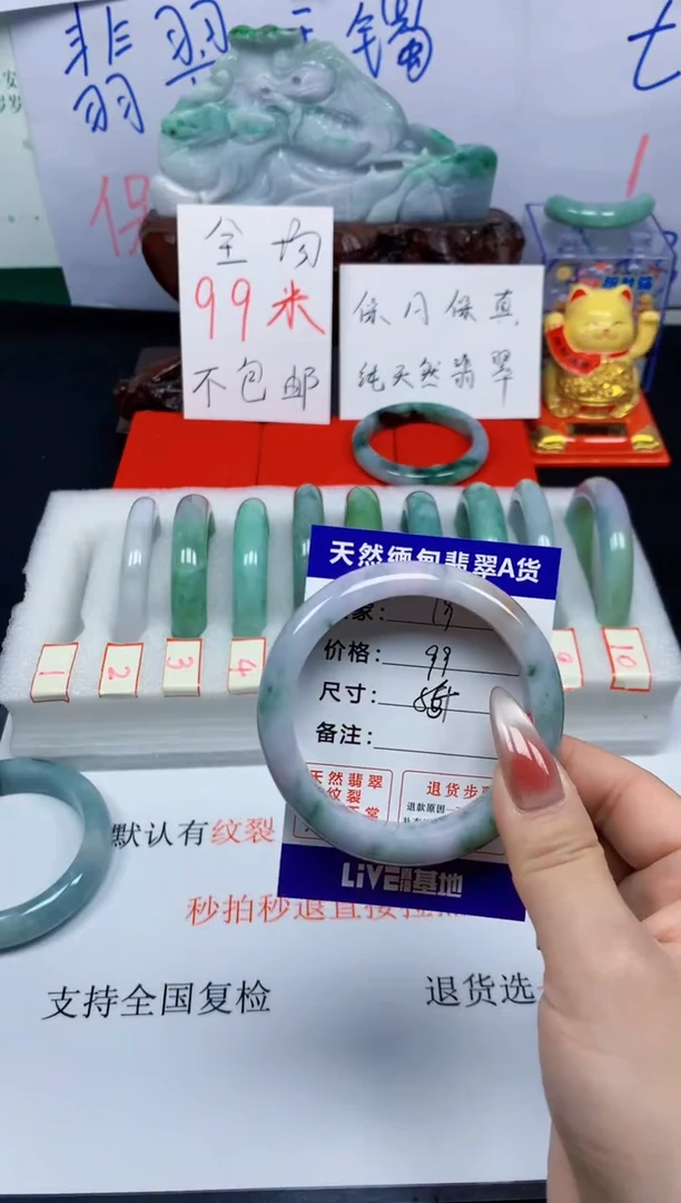 未镶嵌手镯翡翠19
