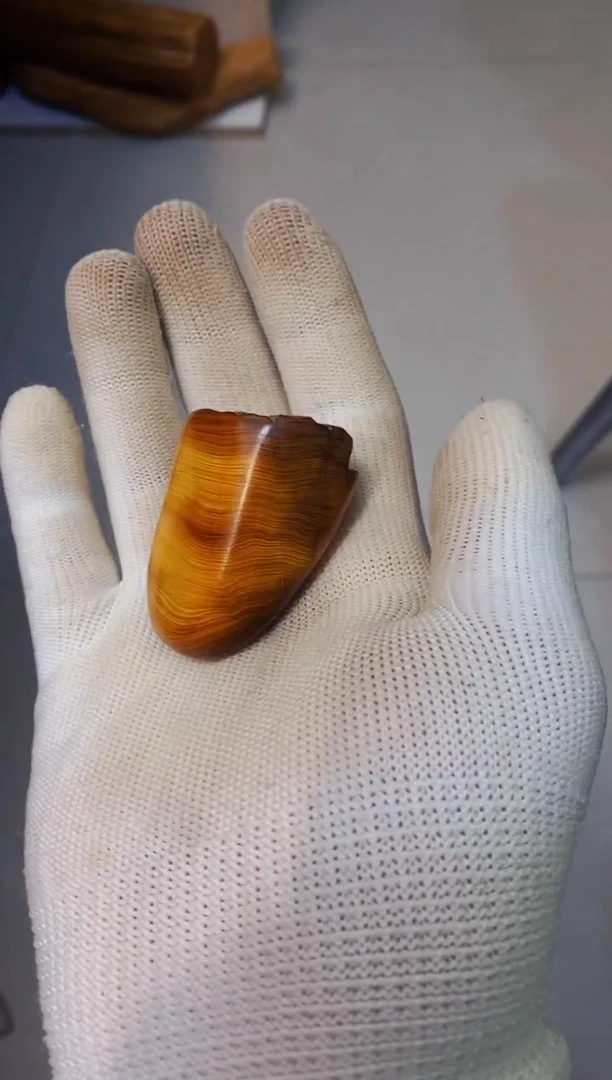 【闪购商品】柏木77崖柏崖柏崖柏