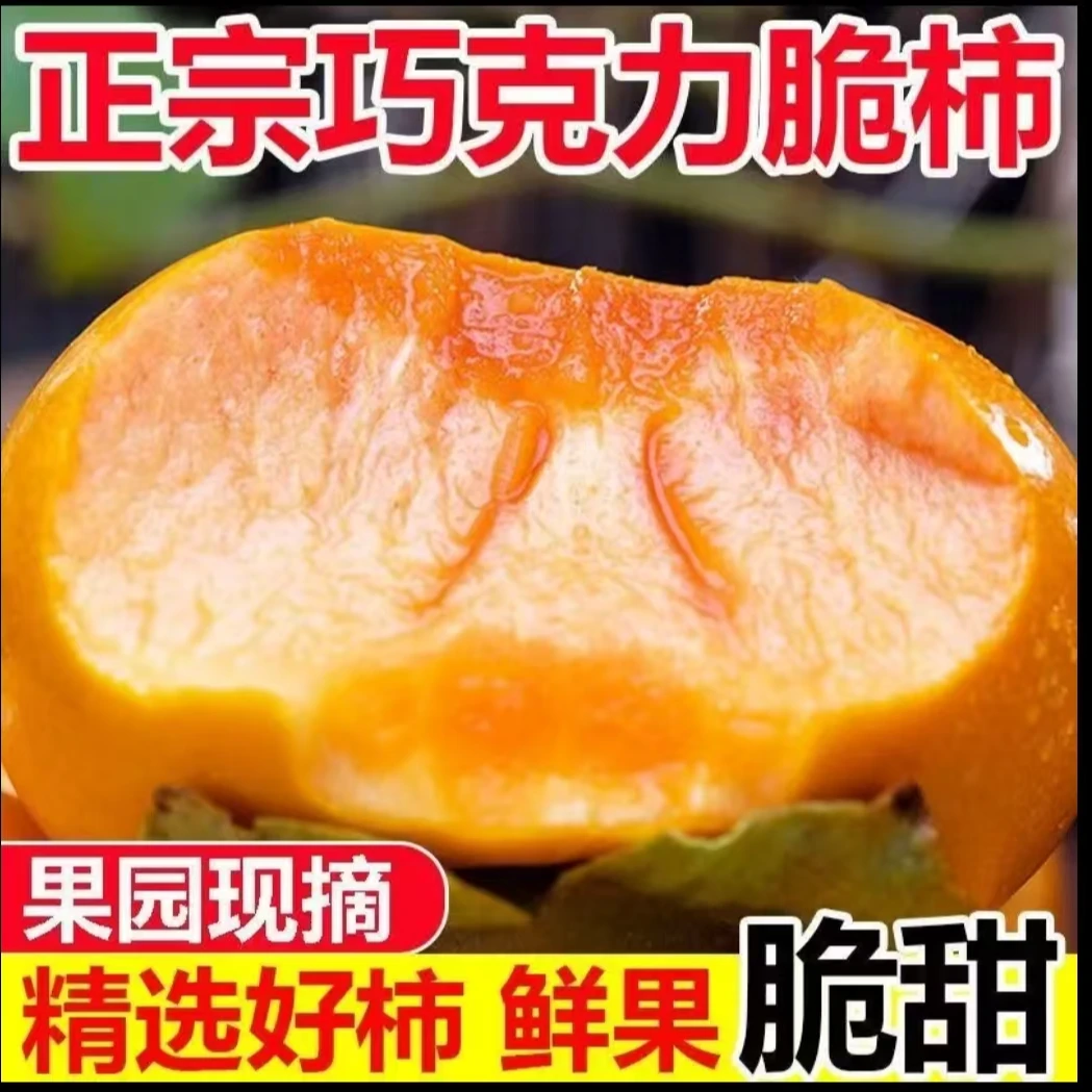新鲜采摘香甜多汁不涩口无籽巧克力脆柿产地直发带箱五斤