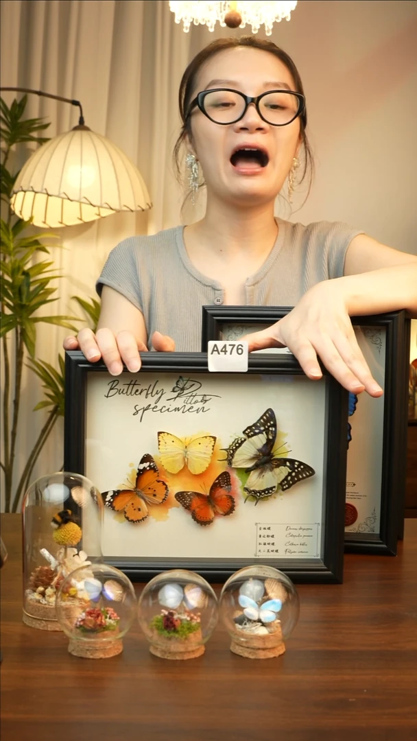 四色蝴蝶组合（10寸欧式黑框）A476