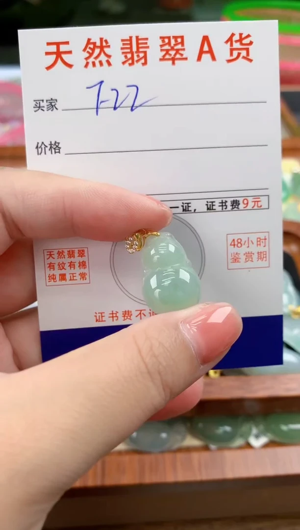 颈饰未镶嵌翡翠天然A货翡翠挂件
