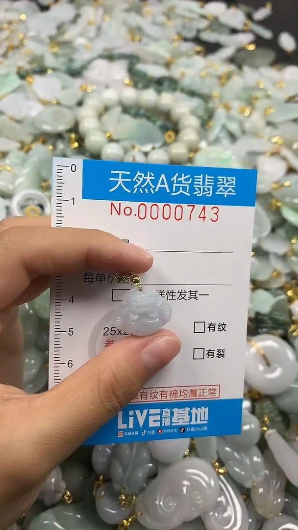 颈饰未镶嵌翡翠净货挂件-0743