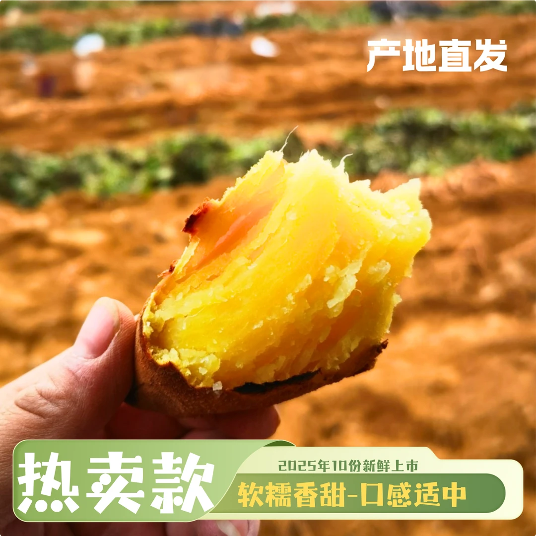 当季新品店长推荐（中薯）正宗崔家湾镇产沙地蜜薯黄心蜜薯口感香甜
