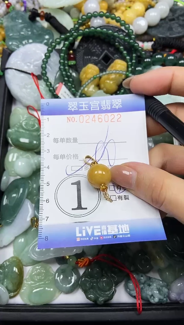颈饰未镶嵌翡翠闪购C0246022多样性发其一