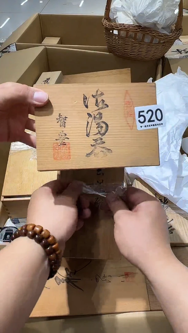 瓷片520...........