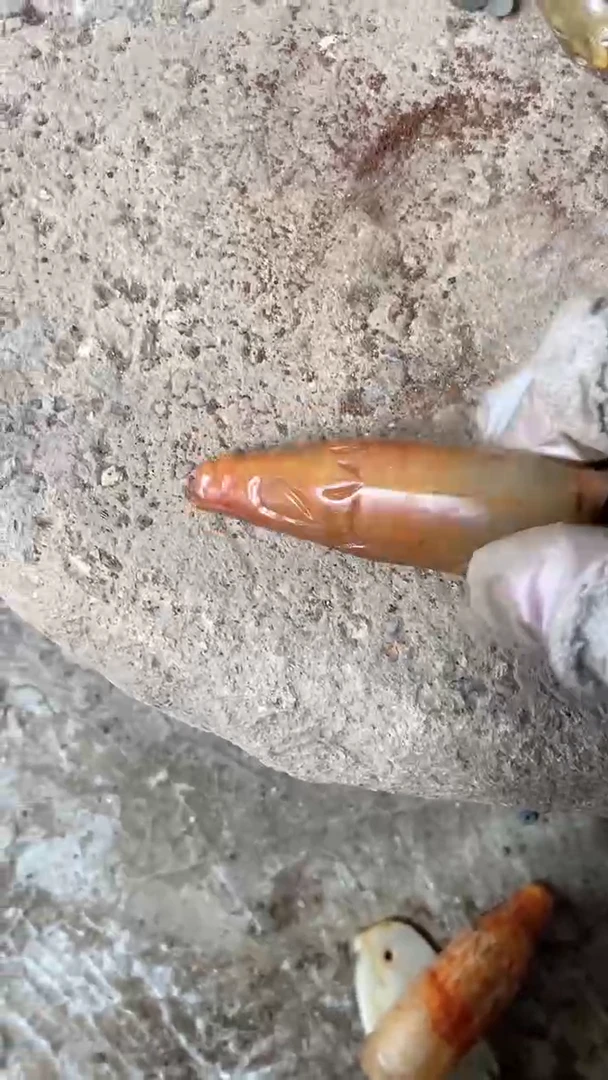 【闪购商品】瓷片手工，手绘，陶器