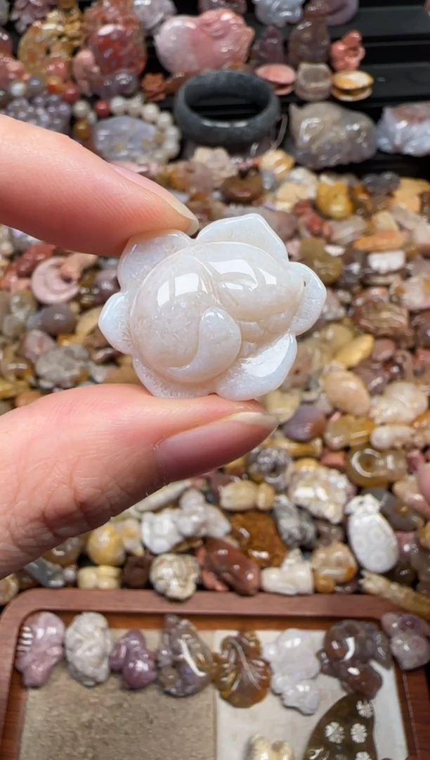 颈饰未镶嵌硅化珊瑚（珊瑚玉）818