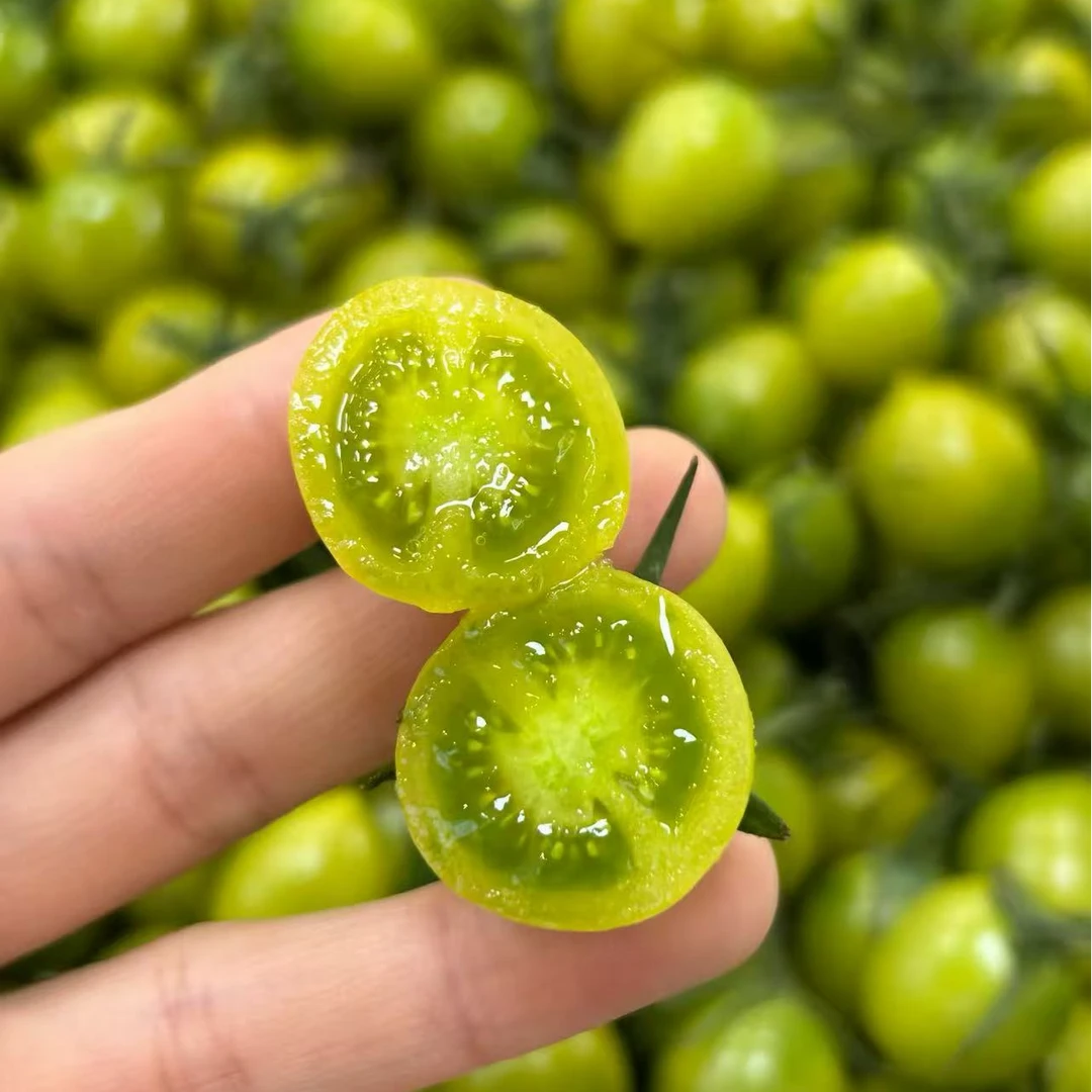 【香甜爆汁】青甜小番茄 新鲜美味 现摘水果 净3斤 顺丰包邮