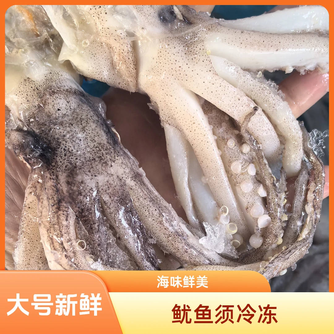 【冷冻】大号鱿鱼须。