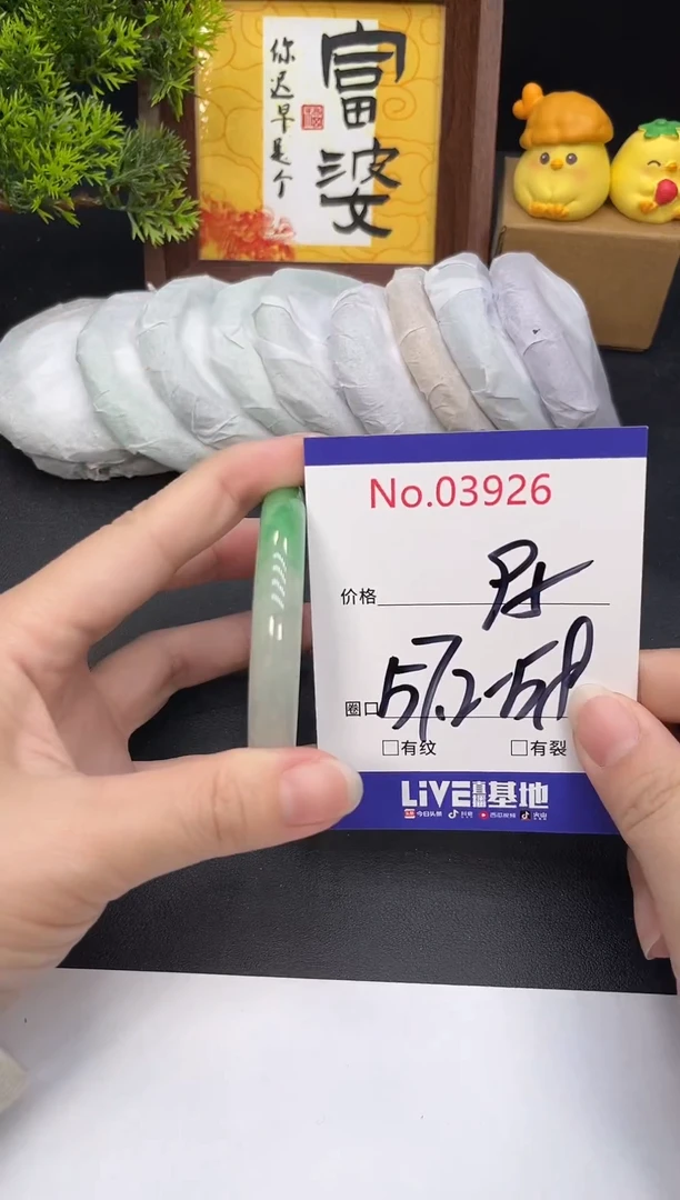 未镶嵌手镯翡翠3926