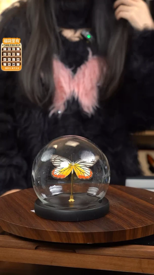 优越斑粉蝶玻璃球款