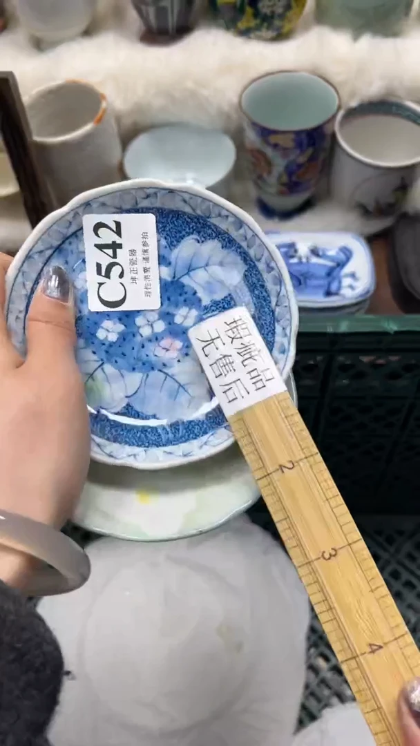 【闪购商品】瓷片          C542