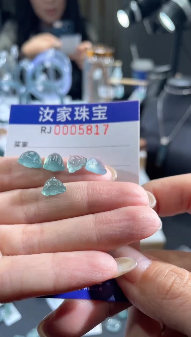 未镶嵌挂件翡翠5817