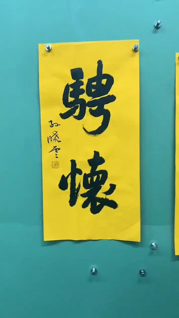 竖款精品书法，骋怀