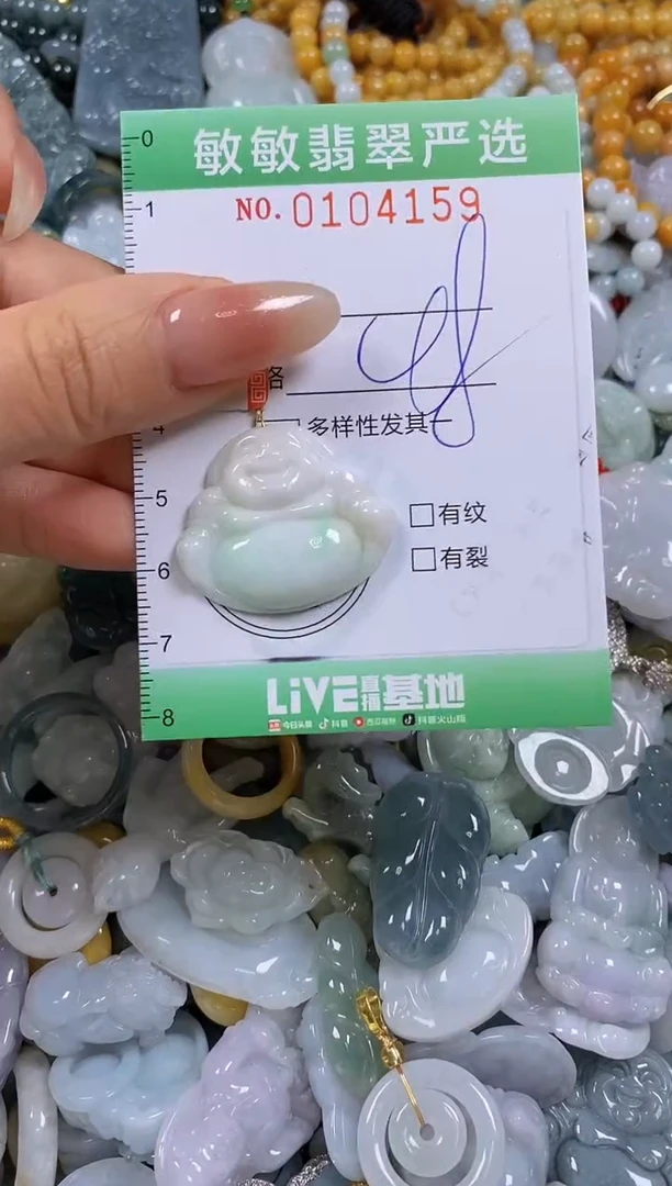 【闪购商品】翡翠颈饰未镶嵌闪购0104159
