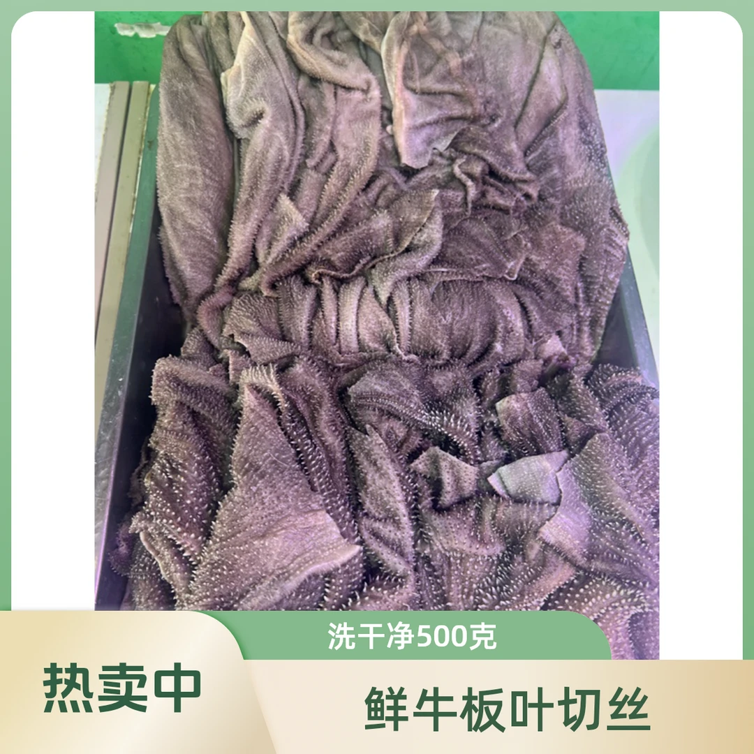 鲜牛板叶切丝 洗干净的500克