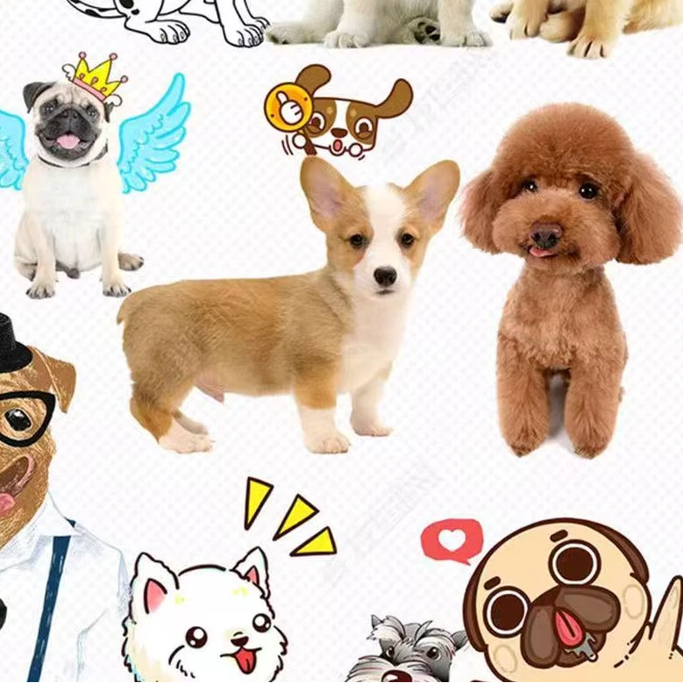 宠物相册专属订单