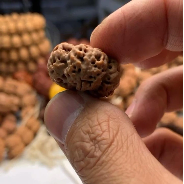 （梁梅花板王）高山板王五星夹板尼泊尔大金刚菩提手串