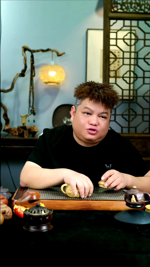 茶壶紫砂宜兴紫砂壶  230cc
