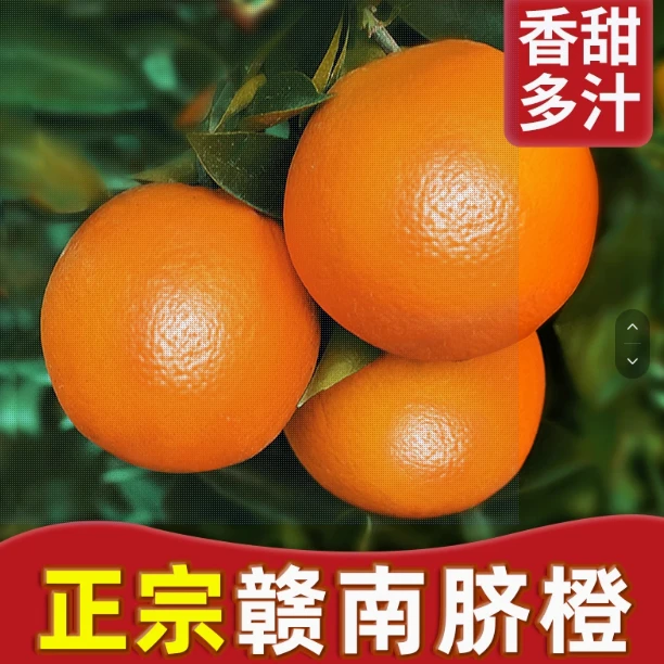 正宗赣南脐橙新鲜水果应当季甜橙大果10斤手剥橙坏果包赔整箱包邮