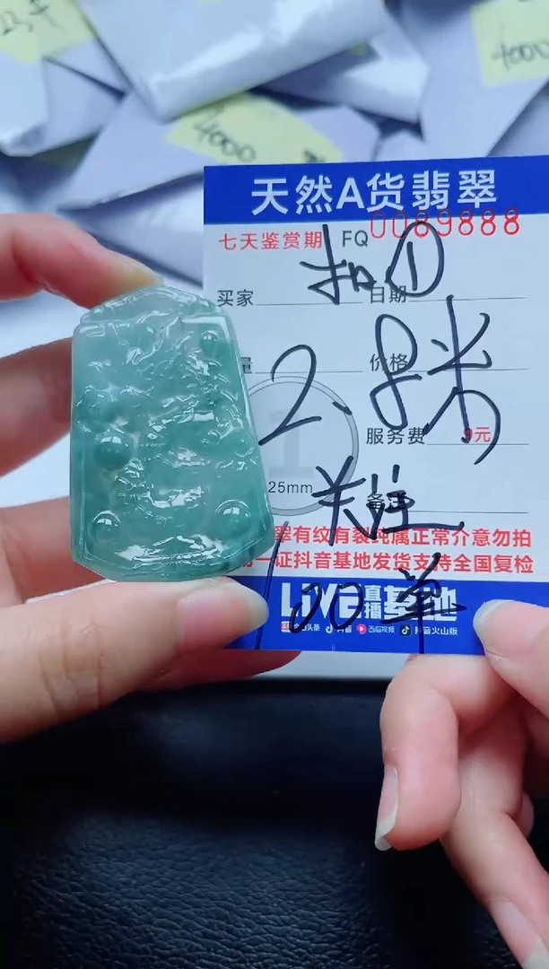 翡翠未镶嵌颈饰