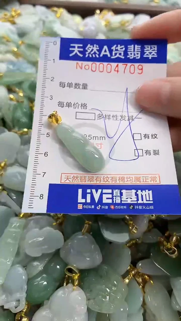 颈饰未镶嵌翡翠天然A货翡翠