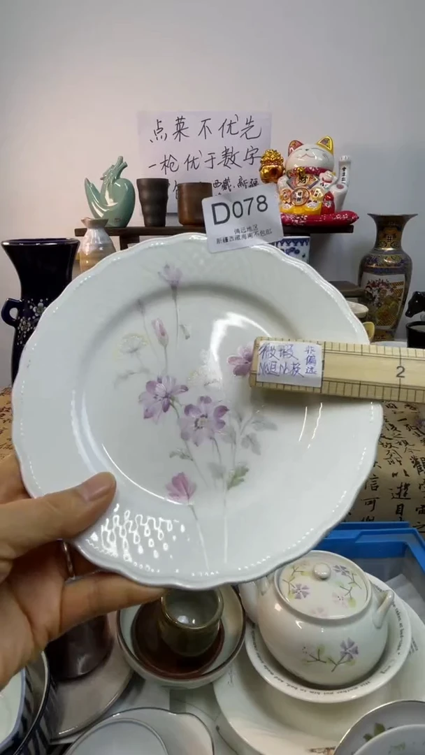 瓷片-D-        078
