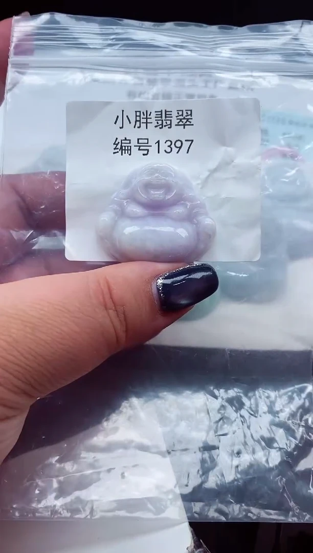 颈饰未镶嵌翡翠缅甸天然A货翡翠1397