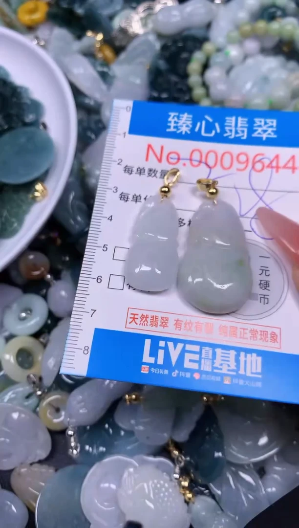 【闪购商品】翡翠颈饰未镶嵌含绳0009644