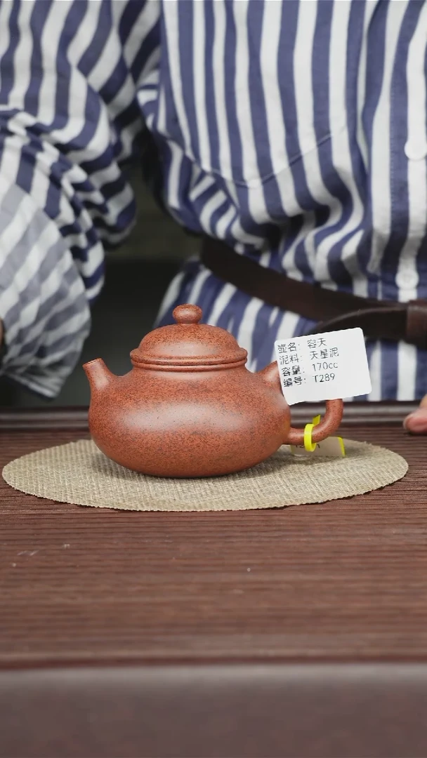 茶壶紫砂T289 天星泥 容天 170cc