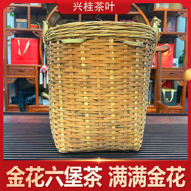 【金花六堡茶】2022年陈化金花茂盛菌香浓郁一级黑茶梧州特产六堡茶