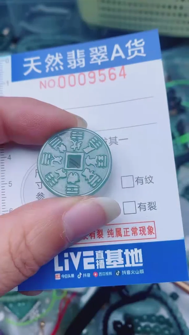 颈饰未镶嵌翡翠00009564