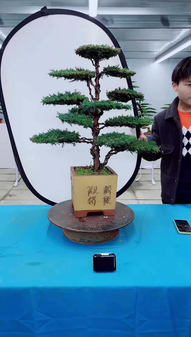 无花朵000000000000000