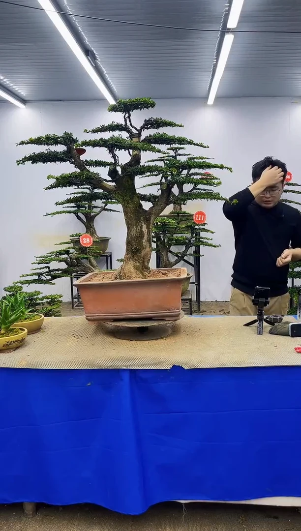 完全开放一物一拍，所见即所得